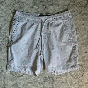 Hollister Men’s Flamingo Shorts